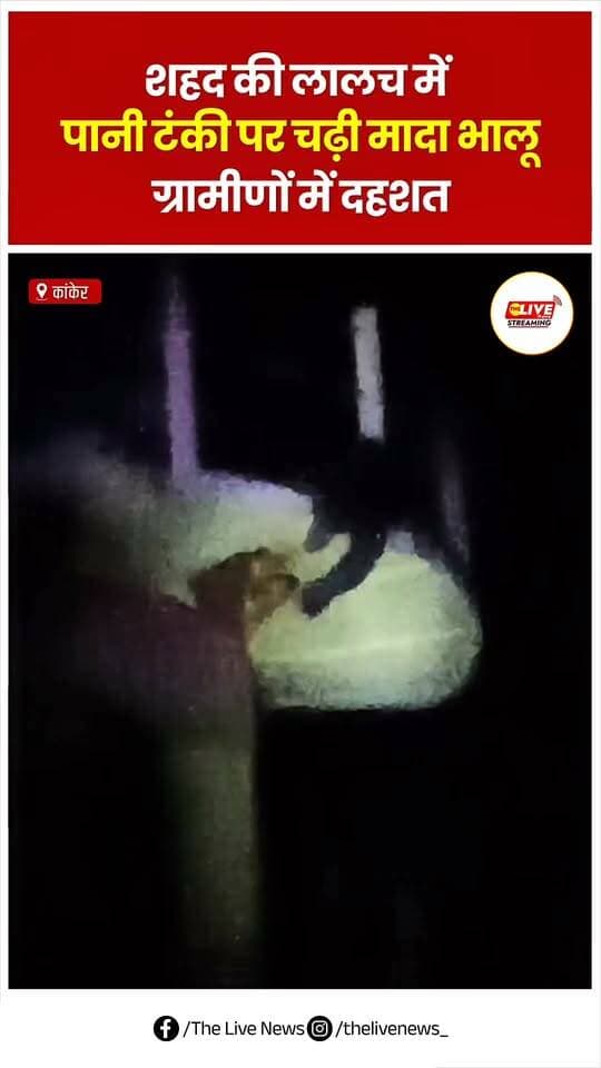 News video thumbnail