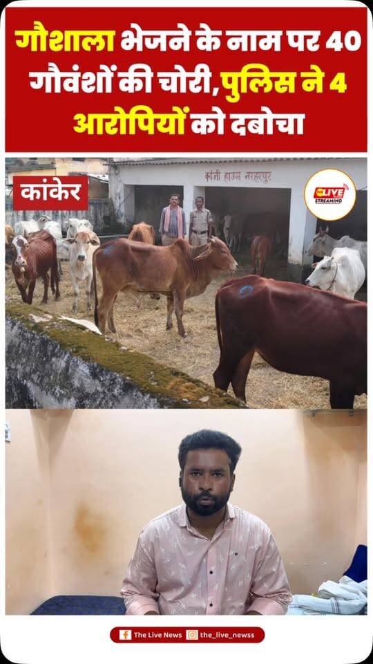 नरहरपुर में 40 गौवंश चोरी का खुलासा, 4 आरोपी गिरफ्तार
नरहरपुर। गौशाला भेजने के नाम पर करीब 40 गौवंशों को चोरी करने के मामले का नरहरपुर पुलिस ने खुलासा किया है। पुलिस ने चार आरोपियों को गिरफ्तार कर उनकी निशानदेही पर 37 गौवंश, 3 पिकअप वाहन और 4 मोबाइल फोन बरामद किए हैं। जब्त सामग्री की कुल कीमत ₹18.40 लाख बताई गई है।
पुलिस के अनुसार आरोपियों ने नरहरपुर हाईस्कूल खेल मैदान से गौवंशों को पिकअप वाहनों में भरकर ले गए थे। पूछताछ में गौशाला भेजने के बहाने चोरी करना स्वीकार किया गया। गिरफ्तार आरोपियों को न्यायालय में पेश करने के बाद जेल भेज दिया गया।
#thelivenews #reelsinstagram #viralvideos #brekingnews #reels