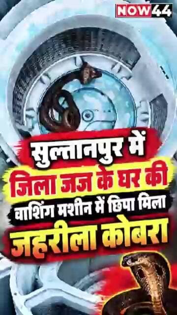 सुल्तानपुर में जिला जज के घर की वाशिंग मशीन में छिपा मिला जहरीला कोबरा #sultanpur #now44news