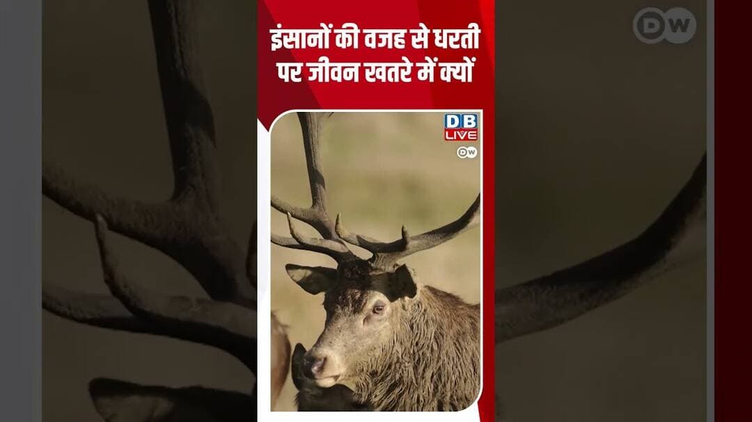इंसानों की वजह से धरती पर जीवन खतरे में क्यों #dwhindinews #ClimateChange #Nature
