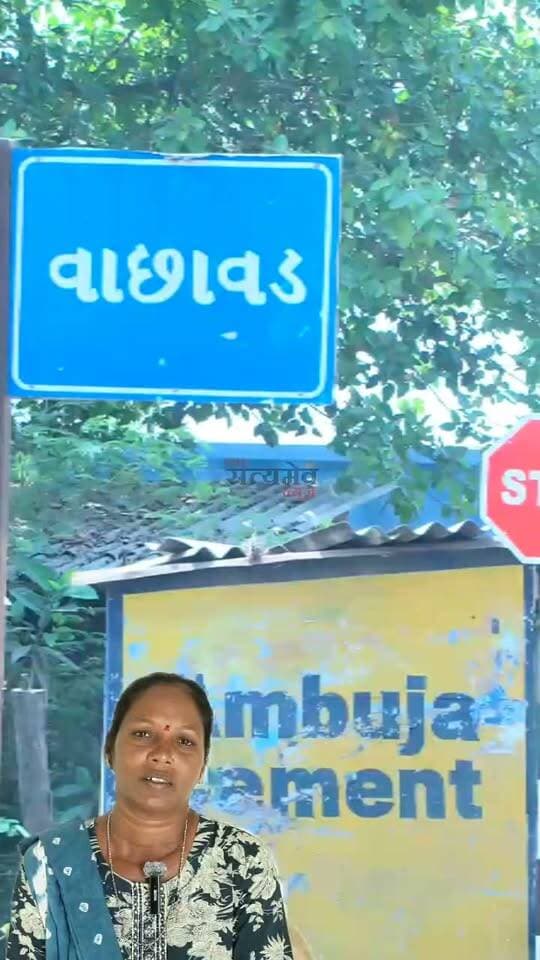 💥 પરિસ્થિતિ ગમે તેવી હોય, ઇરાદા મજબૂત હોવા જોઈએ! મહુવાના વાછાવડના મહેતા પરિવારની આ વાર્તા સાબિત કરે છે કે મહેનત આગળ ગરીબી પણ હારી જાય છે. 💪✨
#MotivationGujarati #MondayMotivation #InspirationalStory #NeverGiveUp #HardWorkPaysOff #SuccessStory #PositiveVibes #SuccessMindset #GujaratiQuotes #InspireGujarat #DreamBigWorkHard #OvercomeObstacles #RealLifeHero #Empowerment #PrakritiAndParishram #Thesatyamevnews