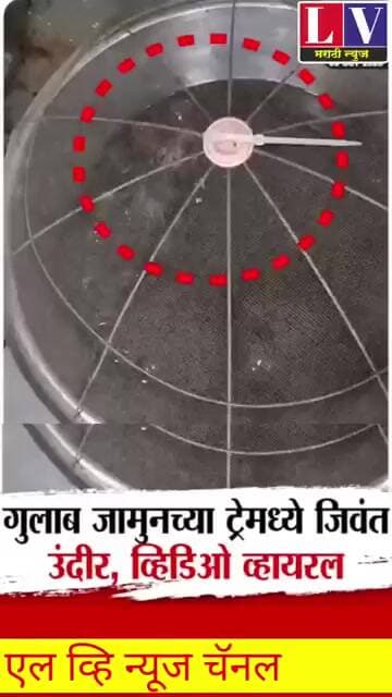 Bhiwandi Viral Video | गुलाब जामुनच्या ट्रेमध्ये जिवंत उंदीर, व्हिडिओ व्हायरल