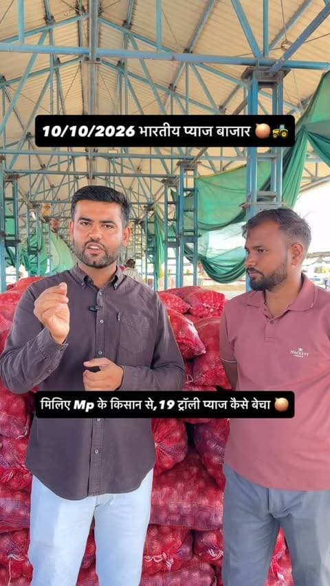 मिलिए मध्य प्रदेश के एक प्याज किसान से, जिनके पास 19 ट्रॉली प्याज था। जानिए इन्होंने अपना प्याज किस-किस भाव में बेचा और पूरी बिक्री की कहानी। भारतीय प्याज बाजार “Today Indian Onion Market Update — latest arrivals, prices, and market trends across India.”