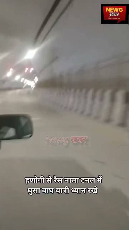 मंडी कुल्लू फोरलेन पर हनोगी टनल में वाहन सवारों को दिखा तेंदुआ