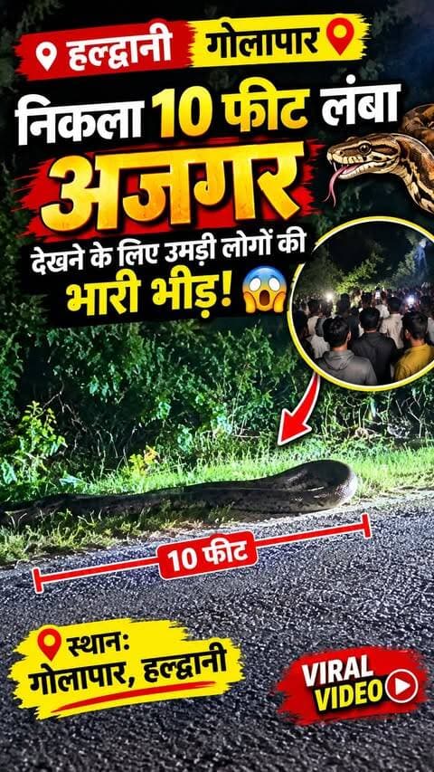 🚨 हल्द्वानी के गोलापार में निकला 10 फीट लंबा अजगर, देखने के लिए उमड़ी लोगों की भारी भीड़! 🐍😱
हल्द्वानी के गोलापार इलाके में उस समय लोगों की भीड़ जमा हो गई, जब करीब 10 फीट लंबा अजगर दिखाई दिया। विशाल अजगर को देखने के लिए मौके पर लोगों का जमावड़ा लग गया।
📍 स्थान: गोलापार, हल्द्वानी
#Haldwani #HaldwaniOfficial #GolaPar #UttarakhandNews #BreakingNews PythonSnake SnakeRescue ViralVideo HaldwaniNews Uttarakhand ViralNews TrendingReels हल्द्वानी गोलापार उत्तराखंडन्यूज़
Haldwani news today, Golapar python snake, 10 feet python in Haldwani, Haldwani viral video, giant python spotted, Uttarakhand latest news, हल्द्वानी में अजगर, गोलापार में अजगर, विशाल अजगर, Haldwani breaking news, Haldwani Official