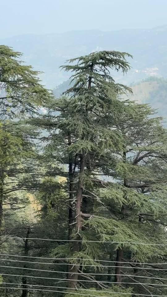 सावधान! हिमाचल में करवट ले रहा मौसम, 13 अक्टूबर से पश्चिमी विक्षोभ सक्रिय; पहाड़ी इलाकों में बर्फबारी के आसार