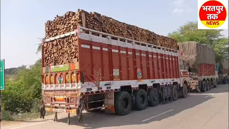 हरी लकड़ी के खिलाफ वन विभाग टीम द्वारा की गई कार्यवाही