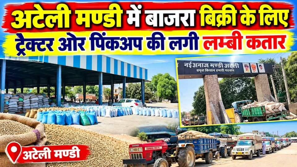 अटेली मण्डी में बाजरा बिक्री के लिए ट्रैक्टर ओर पिंकअप की लगी लम्बी कतार
