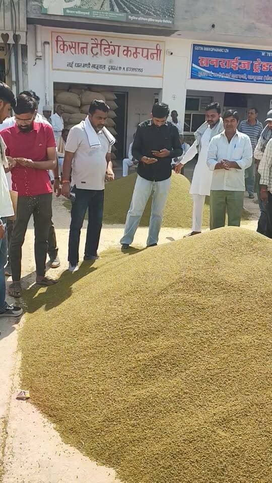 खाजूवाला अनाज मंडी मूंग भाव बोली
#किसान #खाजूवाला #मूंग #ग्वार #मंडीभाव