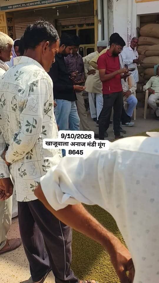 खाजूवाला अनाज मंडी मूंग भाव 9/10/2026
#किसान #खाजूवाला #मूंग #ग्वार #मंडीभाव