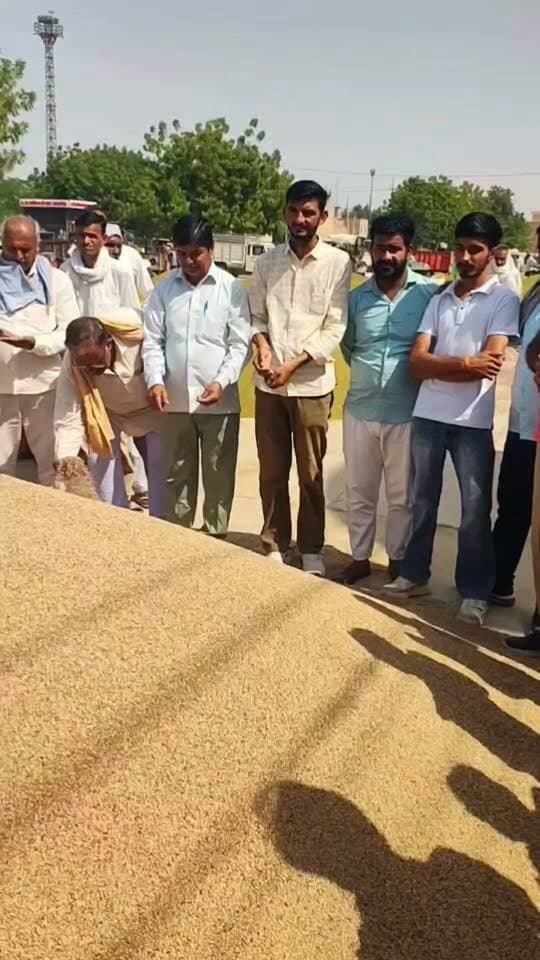 खाजूवाला अनाज मंडी ग्वार भाव
#किसान #खाजूवाला #ग्वार #मंडीभाव #मूंग