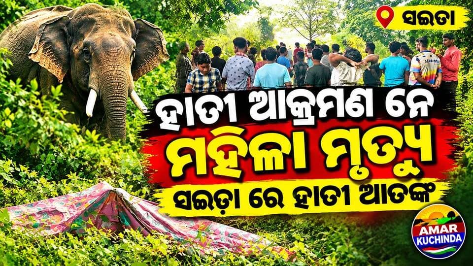 ସଇଡ଼ା ହାତୀ ଆକ୍ରମଣରେ ମହିଳାଙ୍କ ମୃତ୍ୟୁ:
ବନ ବିଭାଗ ଉପରେ ବର୍ଷିଲେ ଉତ୍ତ୍ୟକ୍ତ ଲୋକେ
#amarkuchinda #kuchinda #ElephantAttack
