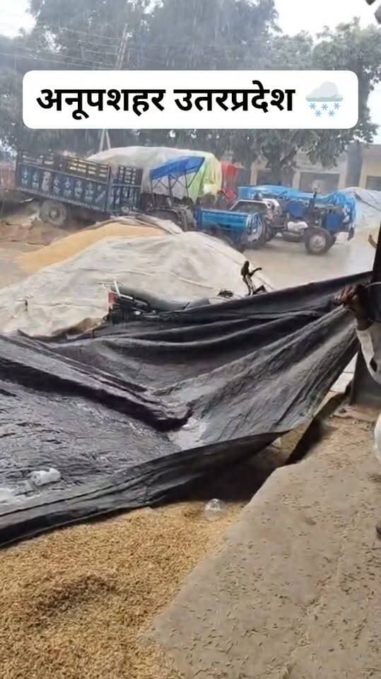 अनूपशहर उतरप्रदेश फुल बारिश 🌨️🌨️🌨️