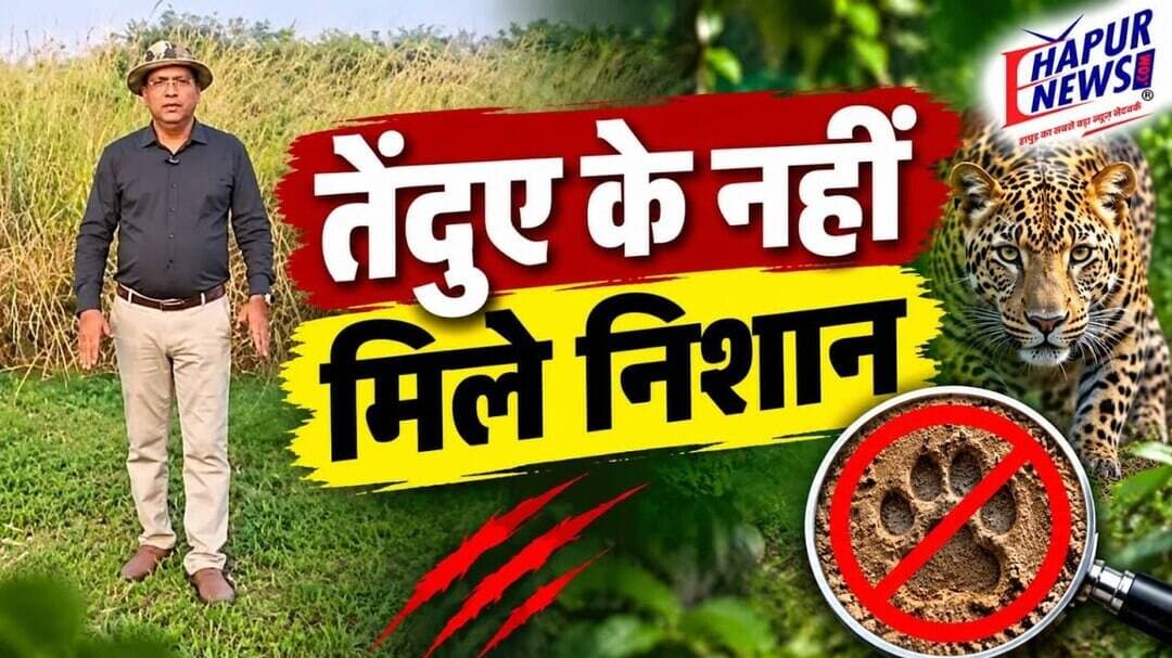 एक साथ पांच तेंदुए दिखाई देने के दावे का वन विभाग ने किया खंडन