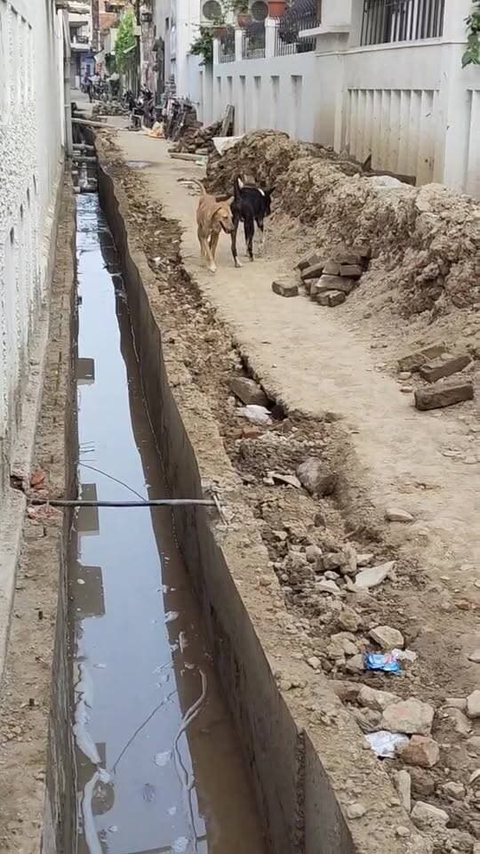 मिर्जापुर नगर पालिका क्षेत्र के रेदानी कॉलोनी गली में नाली की जगह हो रहा है नाला का निर्माण,,,,,,