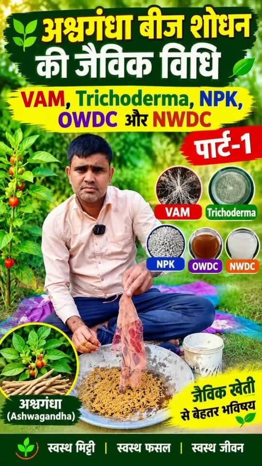 लेखन
🌱 अश्वगंधा बीज शोधन | पार्ट-1 🌿
अश्वगंधा के बीजों का 5 जैविक कल्चर से शोधन—VAM, Trichoderma, NPK, OWDC और NWDC। 🚜🌾
🌿 जैविक खेती अपनाएँ, प्रकृति से जुड़ें!
#अश्वगंधा #जैविकखेती #बीजशोधन #OrganicFarming #प्राकृतिकखेती