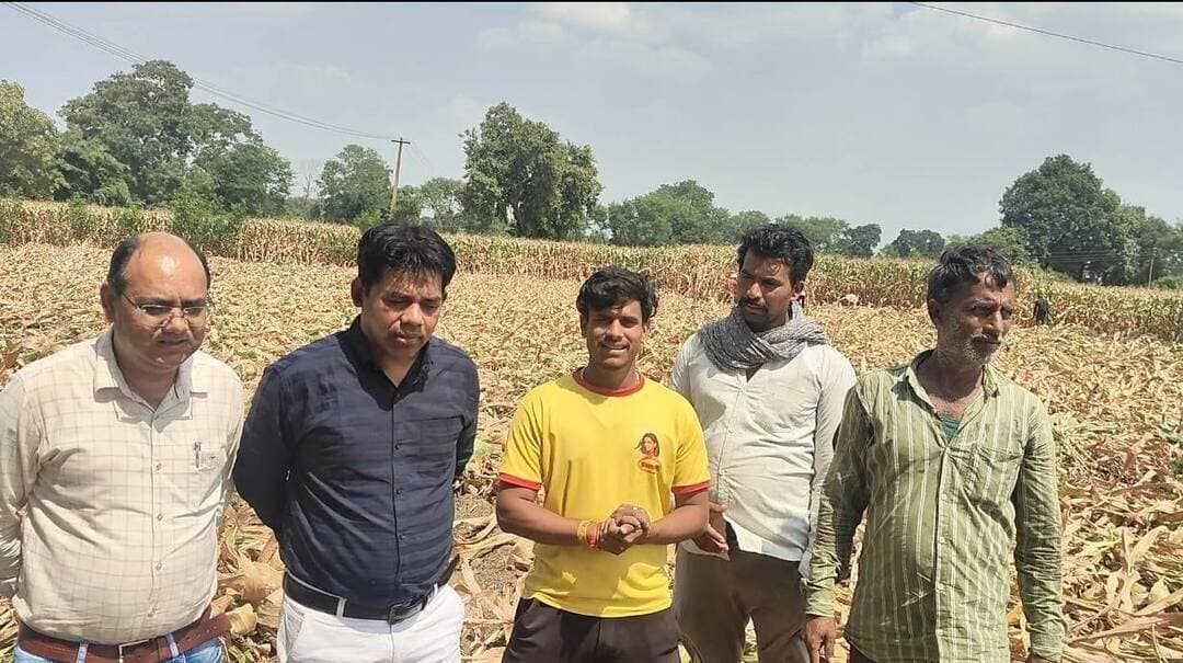 मक्का की कड़बी न जलाएं, पशुओं के चारे के रूप में उपयोग करने के लिए किसानों को किया जा रहा प्रेरित
=============================
कलेक्टर श्री हरेंद्र नारायन के मार्गदर्शन में कृषि विभाग द्वारा किसानों को मक्का की कड़बी (फसल अवशेष) नहीं जलाने तथा इसे पशुओं के चारे के रूप में उपयोग करने के लिए प्रेरित किया जा रहा है।
अल्पवर्षा के कारण आगामी रबी मौसम में गेहूं की बोवनी का रकबा कम रहने की संभावना है। इससे पशुओं के लिए चारे की उपलब्धता प्रभावित हो सकती है। ऐसी स्थिति में मक्का की कड़बी का संरक्षण कर पशु चारे के रूप में उपयोग करना महत्वपूर्ण है। इससे चारे की उपलब्धता बनाए रखने के साथ ही फसल अवशेषों का सदुपयोग भी किया जा सकेगा।
उप संचालक कृषि श्री मोरिस नाथ एवं परियोजना संचालक आत्मा श्री धीरज ठाकुर ने किसानों से अपील की है कि मक्का की फसल कटाई के बाद खेत में बची कड़बी को जलाने के बजाय एकत्रित कर सुरक्षित रखें और पशुओं के चारे के रूप में उपयोग करें।
कृषि विभाग के अनुसार, फसल अवशेष जलाने से वायु प्रदूषण बढ़ता है तथा मिट्टी के लाभकारी सूक्ष्मजीवों को नुकसान पहुंच सकता है। इसलिए किसानों से पर्यावरण संरक्षण, मृदा स्वास्थ्य बनाए रखने और पशुओं के लिए चारे की उपलब्धता सुनिश्चित करने के उद्देश्य से मक्का की कड़बी का उचित प्रबंधन करने तथा उसे जलाने से बचने की अपील की गई है।
#procwa #छिन्दवाड़ा
#JansamparkMP
Department of Agriculture, Madhya Pradesh
Jansampark Madhya Pradesh