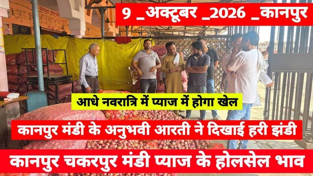 8 October 2026 कानपुर प्याज़ के भावonionreport kanpur #onionmarket kanpur onionmarket price #onion