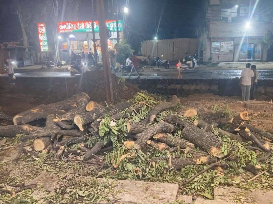 उज्जैन रोड पर कटे पेड़ों की 150 टन लकड़ी का हिसाब कहां?
नागूखेड़ी बायपास तक चौड़ीकरण में काटे गए पेड़ों की लकड़ी पर सवाल, एल्डरमैन संतोष वर्मा ने मांगी जांच
देवास। उज्जैन रोड से नागूखेड़ी बायपास तक सड़क चौड़ीकरण के लिए काटे गए पेड़ों की लकड़ी आखिर कहां गई? इससे कितनी लकड़ी मिली, उसका परिवहन कहां हुआ और फिलहाल वह किसके कब्जे में है? इन सवालों को लेकर नगर निगम में जांच की मांग उठी है। एल्डरमैन संतोष वर्मा ने नगर निगम आयुक्त को आवेदन देकर काटे गए पेड़ों और उनसे प्राप्त लकड़ी का पूरा हिसाब सामने लाने की मांग की है। उनका अनुमान है कि इस काम में 150 टन से अधिक लकड़ी प्राप्त हुई होगी, लेकिन उसकी मौजूदा स्थिति स्पष्ट नहीं है।
तीन घंटे इंतजार के बाद भी नहीं मिला जवाब
संतोष वर्मा के मुताबिक, सड़क चौड़ीकरण के दौरान काटे गए पेड़ों के ठूंठ, लकड़ियां और डालियों के अवशेष मौके पर दिखाई दिए। उन्होंने इस संबंध में मौके पर मौजूद ठेकेदार के इंजीनियर अभिषेक यादव से लकड़ी की मात्रा, रखरखाव और उसके परिवहन की जानकारी मांगी। वर्मा का कहना है कि करीब तीन घंटे इंतजार करने के बाद भी उन्हें संतोषजनक जवाब नहीं मिला।
मुक्तिधाम पहुंची या नहीं लकड़ी?
वर्मा ने यह पता लगाने का प्रयास भी किया कि चौड़ीकरण के दौरान काटे गए पेड़ों की लकड़ी देवास मुक्तिधाम पहुंचाई गई है या नहीं। उनके आवेदन के मुताबिक, उन्हें मिली जानकारी में लकड़ी मुक्तिधाम तक पहुंचने की पुष्टि नहीं हुई। ऐसे में सवाल है कि यदि लकड़ी वहां नहीं पहुंची, तो उसे कहां रखा गया है और उसके परिवहन का रिकॉर्ड क्या है?
हालांकि, लकड़ी की वास्तविक मात्रा और उसके गंतव्य की पुष्टि आधिकारिक रिकॉर्ड की जांच के बाद ही हो सकेगी। फिलहाल यह मामला जांच की मांग के रूप में सामने आया है।
रिकॉर्ड की जांच हो, जिम्मेदारों की जवाबदेही तय हो
एल्डरमैन ने नगर निगम आयुक्त से मांग की है कि सड़क चौड़ीकरण में काटे गए पेड़ों की संख्या, उनसे प्राप्त लकड़ी की मात्रा और उसके परिवहन व भंडारण से जुड़े रिकॉर्ड की जांच कराई जाए। संबंधित ठेकेदार और जिम्मेदार अधिकारियों से दस्तावेज लेकर यह स्पष्ट किया जाए कि लकड़ी कहां भेजी गई और उसका उपयोग किस तरह किया जाना था।
उन्होंने कहा कि जांच में यदि किसी तरह की अनियमितता सामने आती है, तो जिम्मेदारों के खिलाफ नियमानुसार कार्रवाई की जाए। साथ ही, नियमों के तहत मुक्तिधाम को लकड़ी उपलब्ध कराई जानी है, तो उसे वहां पहुंचाने की व्यवस्था भी सुनिश्चित की जाए, ताकि अंतिम संस्कार जैसे जरूरी कार्यों में उसका उपयोग हो सके।
अब निगम से इन सवालों के जवाब जरूरी
- सड़क चौड़ीकरण में कुल कितने पेड़ काटे गए?
- उनसे कितनी लकड़ी प्राप्त हुई और 150 टन से अधिक का अनुमान किस आधार पर है?
- लकड़ी के परिवहन, भंडारण और सुपुर्दगी का रिकॉर्ड कहां है?
- क्या लकड़ी देवास मुक्तिधाम पहुंचाई गई? यदि नहीं, तो उसका वर्तमान ठिकाना क्या है?
इन सवालों का जवाब नगर निगम के रिकॉर्ड और निष्पक्ष जांच से ही सामने आएगा। अब देखना होगा कि निगम प्रशासन इस मांग पर क्या कदम उठाता है और कटे पेड़ों से प्राप्त लकड़ी की वास्तविक स्थिति सार्वजनिक होती है या नहीं।