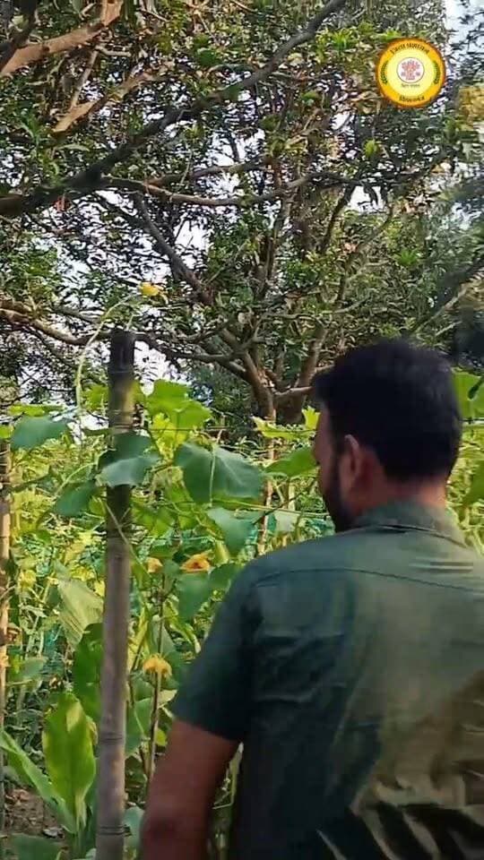 उप विकास आयुक्त प्रदीप कुमार झा नें जैविक खेती और जलवायु अनुकूल कृषि पद्धतियों का किया स्थलीय निरीक्षण
#viral #trending #reels #reelitfeelit #reelsindia #reelsinstagram #instareels #viralvideo #explore #explorepage #foryou #fyp #trendingreels #reelkarofeelkaro #publicreels #dailyreels #newsreel #indiaviral #viralposts #instaviral #instadaily #reelsofindia #viraltoday #creatorspotlight #influencerindia #shortvideo #desireels #hitsreels #boostreels #reelpower