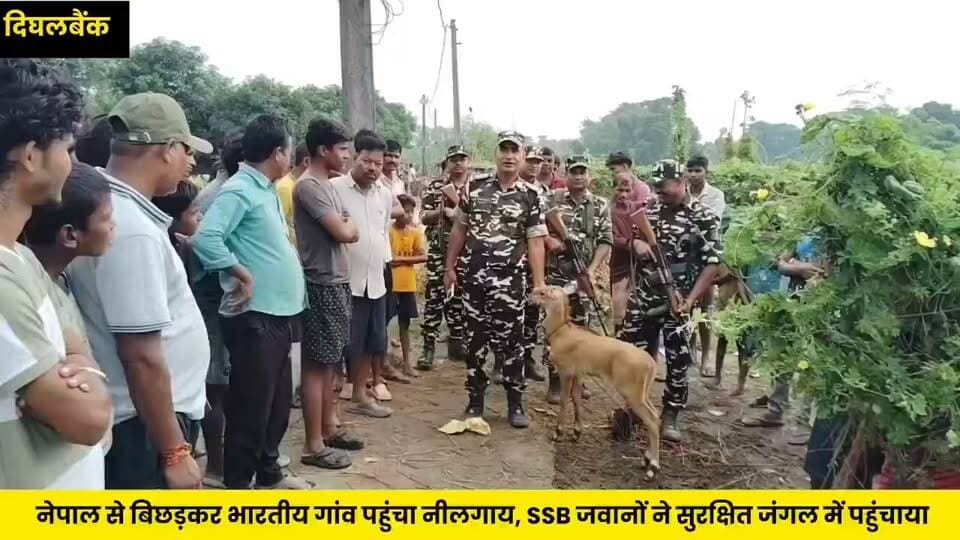 दिघलबैंक में नेपाल से आया नीलगाय का बछड़ा,SSB और वन विभाग ने दिखाई इंसानियत
#NewsUpdate #Kishanganj #nonfollowers #newsfeed #किशनगंज #SSB