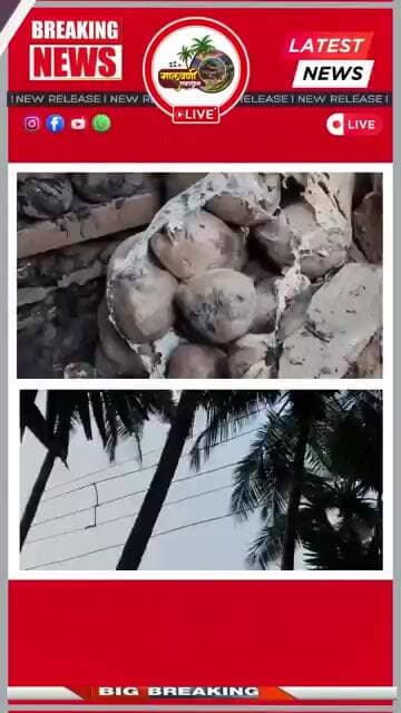 "एकीकडे हलाखीची परिस्थिती, त्यात आगीचा तांडव!