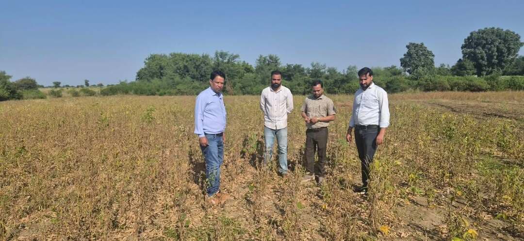 मुख्यमंत्री जन विश्वास अभियान 2026 के अंतर्गत उप संचालक कृषि श्री मुनेश कुमार शाक्य द्वारा ग्राम ढकरौला में कृषक श्री अरविंद शर्मा के खेत पर कृषि विभाग द्वारा सोयाबीन प्रदर्शन हेतु उपलब्ध कराए गए RVSM-1135 किस्म के बीज से बोई गई फसल का निरीक्षण किया गया। साथ ही टमाटर एवं मिर्च की फसलों का भी अवलोकन कर उनकी स्थिति का जायजा लिया गया।
#JanVishwasAbhiyan2026
#हर_शुक्रवार_जनता_के_नाम
#शिवपुरी