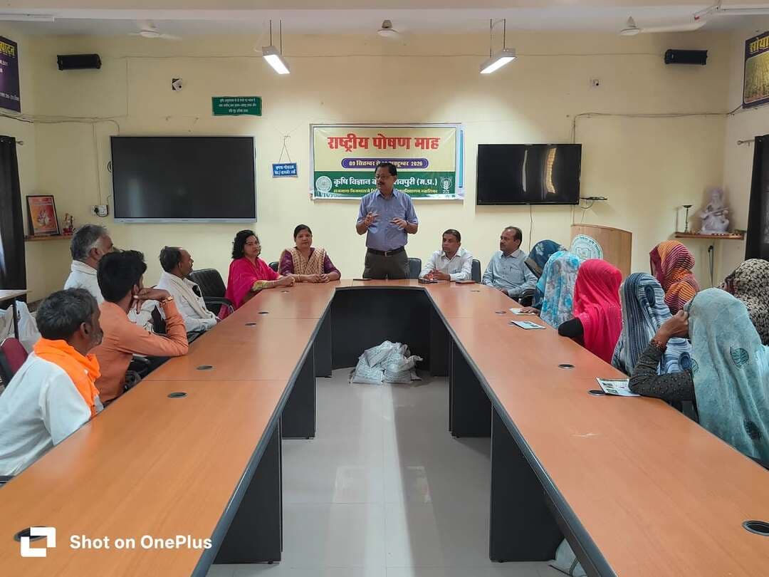 कृषि विज्ञान केन्द्र, शिवपुरी में डॉ. पुनीत कुमार के निर्देशन में 09 सितम्बर से 08 अक्टूबर 2026 तक राष्ट्रीय पोषण माह आयोजित किया गया। इस दौरान लगभग 250 किसानों, महिलाओं, आमजनों एवं विद्यार्थियों को पोषण सुरक्षा, पोषण वाटिका, संतुलित आहार, सहजन पत्ती पाउडर तथा श्री अन्न के महत्व की जानकारी दी गई। वैज्ञानिक डॉ. सुरूचि सोनी ने कुपोषण से बचाव हेतु दालें, हरी सब्जियां एवं स्थानीय फलों को आहार में शामिल करने पर जोर दिया। प्रतिभागियों को घर पर पोषण वाटिका तैयार करने और पौष्टिक भोजन बनाने का प्रशिक्षण भी दिया गया।
Department of Agriculture, Madhya Pradesh
#shivpuri