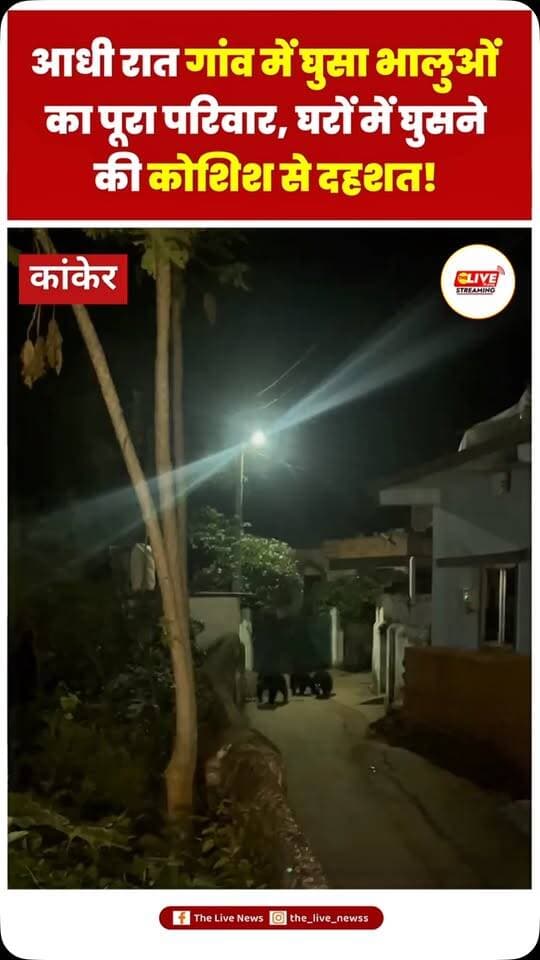 कांकेर ब्रेकिंग,,, आधी रात गांव में घुसा भालू का पूरा परिवार,,गांव के घरों घुसने लगा भालू का पूरा झुंड,,, पालतू कुत्ते के भौंकने से चौकन्ने हुए लोग,,ग्रामीणों ने बनाया वीडियो,, वन्य प्राणी संरक्षण सप्ताह के बीच भालुओं का आतंक जारी,, कांकेर वन्यपरिक्षेत्र के ग्राम दशपुर की घटना,,
.
.#thelivenews #newsupdate #chhattisgarh #kanker #news