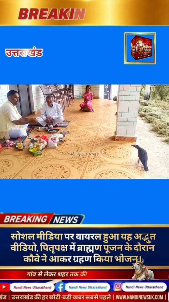 सोशल मीडिया पर वायरल पितृपक्ष में ब्राह्मण पूजन के दौरान भोजन करने पहुँचा कौवा, श्रद्धा और मान्यताओं का जीवंत उदाहरण।
इन दिनों सोशल मीडिया पर एक वीडियो तेज़ी से वायरल हो रहा है, जो लोगों के बीच गहरी आस्था और कौतूहल का विषय बना हुआ है।
इस वीडियो में देखा जा सकता है कि पितृपक्ष के दौरान जब एक ब्राह्मण देव पितरों की पूजा कर रहे थे, तभी एक कौवा स्वतः वहाँ आ पहुँचा। वह न सिर्फ ब्राह्मण के पास बैठा, बल्कि बेहद सहजता से उनसे भोजन भी माँगने लगा। ब्राह्मण द्वारा भोजन दिए जाने के बाद, वह उसे ग्रहण कर शांतिपूर्वक वहाँ से उड़ गया।
सनातन धर्म में ऐसी दृढ़ मान्यता है कि पितृपक्ष के दौरान पितरों की तृप्ति के लिए निकाला गया भोजन (जिसे 'ग्रास' कहा जाता है) यदि कौवा ग्रहण कर ले, तो वह सीधे पितरों तक पहुँचता है। वायरल हो रहा यह वीडियो इसी धार्मिक विश्वास और परंपरा का एक साक्षात व जीवंत उदाहरण प्रस्तुत करता है।