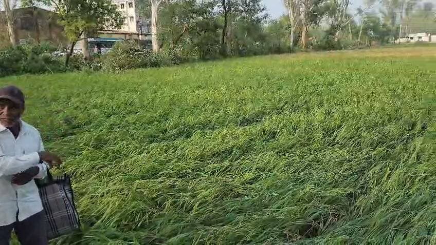 बाजपुर में हुई भीषण ओलावृष्टि, सूचना मिलते ही प्रभावित किसानों के बीच पहुंचे सीएम धामी
#Bazpur #Bajpur #Uttarakhand #CMDhami #PushkarSinghDhami #ओलावृष्टि #बाजपुर