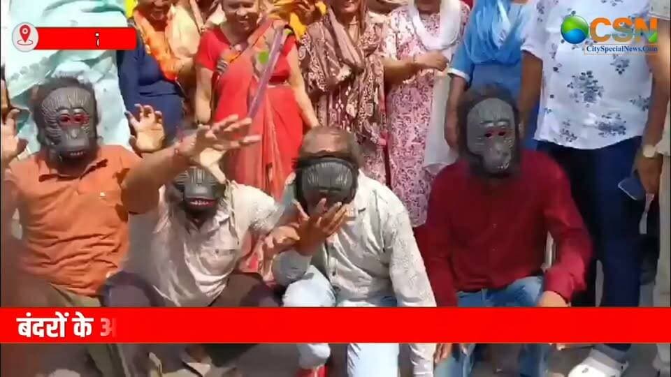 बंदरों का आतंक… जनता परेशान… और जिम्मेदार विभागों के बीच खींचतान! मेरठ में बंदरों की समस्या से त्रस्त लोगों ने विरोध का ऐसा तरीका अपनाया कि हर कोई देखता रह गया। कोई बंदर का मुखौटा पहनकर पहुंचा, तो किसी ने प्रशासन के खिलाफ जमकर नारेबाजी की।
खबर उत्तर प्रदेश के मेरठ से है, जहां फूलबाग और नेहरू नगर कॉलोनी में बंदरों के बढ़ते आतंक से स्थानीय लोग परेशान हैं। समस्या के समाधान की मांग को लेकर बुधवार को लोगों ने अनोखा विरोध प्रदर्शन किया।
क्षेत्रीय पार्षद रेखा सिंह और पूर्व पार्षद नीरज सिंह के नेतृत्व में लोग कमिश्नरी चौराहे पर एकत्र हुए। इसके बाद बंदरों के मुखौटे पहनकर नारेबाजी करते हुए कलक्ट्रेट पहुंचे और जिलाधिकारी डॉ. वीके सिंह को ज्ञापन सौंपा।
स्थानीय लोगों का दावा है कि पिछले करीब दो महीने से इलाके में 250 से 300 बंदरों का झुंड परेशानी का कारण बना हुआ है। बंदर सड़कों पर बैठकर आवागमन बाधित करते हैं और लोगों को काटने के लिए दौड़ते हैं। इतना ही नहीं, छतों पर रखी पानी की टंकियों को नुकसान पहुंचाने, कपड़े फाड़ने और गमले तोड़ने की शिकायतें भी सामने आई हैं।
प्रदर्शनकारियों का कहना है कि बंदरों के डर से बच्चों और बुजुर्गों का घर से निकलना मुश्किल हो गया है। लोगों ने मांग की कि बंदरों को पकड़ने और उन्हें सुरक्षित स्थान पर छोड़ने की व्यवस्था जल्द की जाए।
स्थानीय निवासियों ने नगर निगम और वन विभाग के बीच जिम्मेदारी को लेकर चल रही खींचतान पर भी नाराजगी जताई। उनका कहना है कि वन विभाग को बंदरों को छोड़ने के लिए जगह तय करनी है, जबकि नगर निगम को उन्हें पकड़ने की व्यवस्था करनी है। लेकिन दोनों विभागों के बीच तालमेल की कमी का खामियाजा जनता भुगत रही है।
वहीं, वन विभाग की प्रभागीय निदेशक वानिकी वंदना फोगाट के मुताबिक, बंदरों के लिए शहर के बाहरी इलाकों में कपि वन और अन्नपूर्णा वन विकसित करने की योजना है। इसके लिए दौराला, मोहिउद्दीनपुर, रजपुरा और परतापुर में जमीन चिन्हित की गई है। प्रत्येक कपि वन करीब पांच हेक्टेयर में विकसित किया जाएगा, जहां फलदार और छायादार पौधे लगाए जाएंगे।
वन विभाग का कहना है कि बंदरों को छोड़ने के लिए नगर निगम की ओर से अभी लिखित पत्र नहीं मिला है। पत्र मिलने के बाद उपयुक्त स्थान की अनुमति पर विचार किया जाएगा।
अब देखना होगा कि अधिकारियों की यह योजना जमीन पर कब उतरती है और मेरठ के लोगों को बंदरों के आतंक से कब राहत मिलती है।
#MeerutNews #Meerut #MonkeyTerror #बंदरोंकाआतंक #मेरठन्यूज #मेरठ #जनतापरेशान #अनोखाविरोधप्रदर्शन #नगरनिगम #वनविभाग #उत्तरप्रदेशसमाचार #UPNews #BreakingNews #HindiNews #ViralNews #PublicProtest #MonkeyProblem #DMMeerut #LocalNews #CitySpecialNews #MeerutViralNews #MonkeyMenace #ViralReels #TrendingNews #UPBreakingNews #जनताकीआवाज #प्रशासनसेसवाल #मेरठकीखबर #PublicIssue #NewsUpdate #UPNews #City