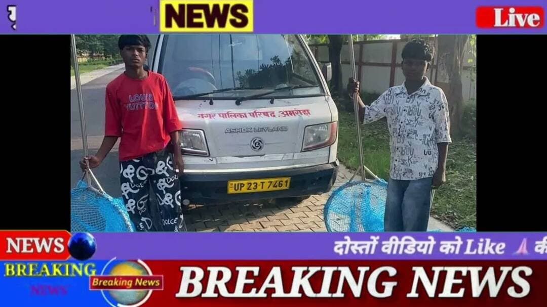 आवारा कुत्तों के आतंक पर सख्त हुई नगर पालिका शहर से 16 कुते पकड़े #देखे