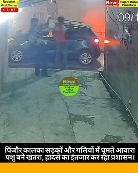 🚨 आखिर कब मिलेगी पिंजौर के लोगों को आवारा पशुओं से निजात?
🐂 पिंजौर की गलियों में घूमते आवारा पशु अब लोगों के लिए परेशानी के साथ-साथ सुरक्षा का भी बड़ा सवाल बनते जा रहे हैं। आए दिन कॉलोनियों और सड़कों पर घूमते इन पशुओं के कारण हादसों का खतरा बना रहता है। सबसे ज्यादा चिंता बच्चों, बुजुर्गों और राहगीरों की सुरक्षा को लेकर है।
❓ आखिर कब जागेगा प्रशासन?
स्थानीय निवासी इस समस्या से परेशान हैं और लंबे समय से इसके स्थायी समाधान की उम्मीद कर रहे हैं। सवाल यह है कि क्या किसी बड़े हादसे के बाद ही प्रशासन कोई ठोस कदम उठाएगा?
📢 प्रशासन से अपील है कि आवारा पशुओं को सुरक्षित तरीके से पकड़ने और उनके उचित रखरखाव की व्यवस्था की जाए, ताकि पिंजौर के लोगों को इस समस्या से राहत मिल सके।
👉 आपके क्षेत्र में भी आवारा पशुओं की समस्या है? कमेंट में अपनी राय जरूर बताएं और इस पोस्ट को अधिक से अधिक शेयर करें, ताकि जिम्मेदार अधिकारियों तक लोगों की आवाज पहुंचे।
#Pinjore #पिं�