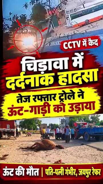 ऊंट गाड़ी पर जा रहे थे पति-पत्नी, तेज रफ्तार ट्रोला आया और...CCTV में कैद हुआ खौफनाक मंजर