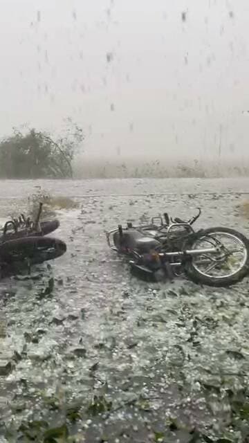 उत्तराखंड के रुद्रपुर मे भारी औलावृस्टि हुई है......