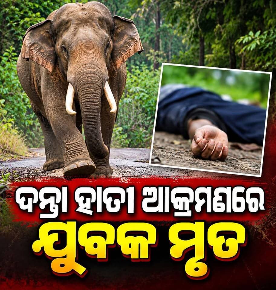 #ଦନ୍ତା_ହାତୀ_ଆକ୍ରମଣରେ_ଯୁବକ_ମୃତ
ଢେଙ୍କାନାଳ ଜିଲ୍ଲା ହିନ୍ଦୋଳ ଥାନା ଅନ୍ତର୍ଗତ ହାତୁରା ପଞ୍ଚାୟତ ତଥା ହିନ୍ଦୋଳ ଫରେଷ୍ଟ ସେକ୍ସନ ର କର୍ଣପୁର ଫରେଷ୍ଟ ବିଟ ଅଧୀନରେ ଥିବା ଜୟପଙ୍ଗା ଗ୍ରାମର ସପ୍ନେଶ୍ଵର ବିଶ୍ବାଳ ମୃତ୍ୟୁ |