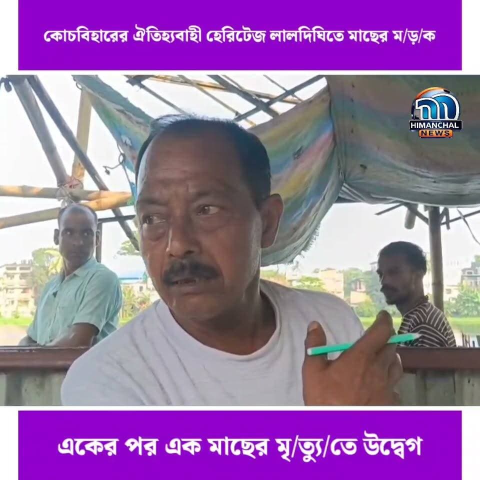 🟢কোচবিহারের ঐতিহ্যবাহী হেরিটেজ লালদিঘিতে মাছের ম/ড়/ক, একের পর এক মাছের মৃ/ত্যু/তে উদ্বেগ