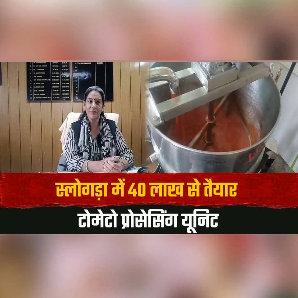 स्लोगड़ा में 40 लाख से तैयार टोमेटो प्रोसेसिंग यूनिट
नवरात्रों में होगा उद्घाटन
#Solagda #TomatoProcessingUnit #HimachalPradesh #FoodProcessing #Horticulture #Farmers #AgricultureNews #HimachalNews #RuralDevelopment #LatestNews #thesummernewshimachal