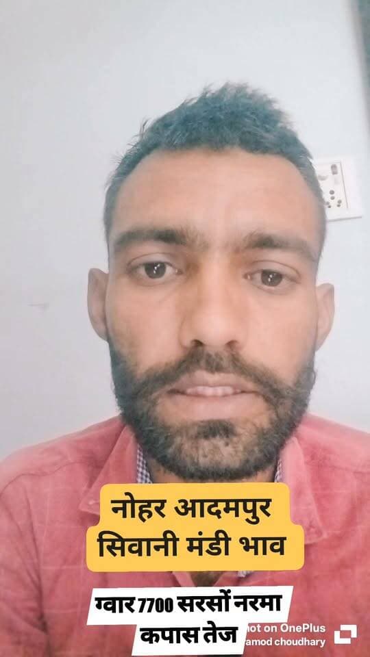 नोहर आदमपुर सिवानी मंडी भाव