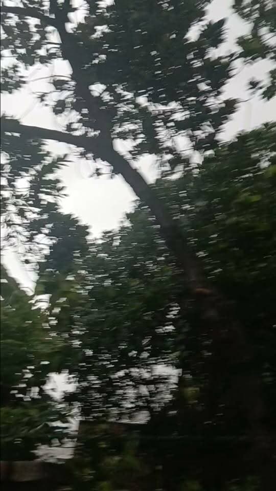 मोकामा क्षेत्र में तेज आंधी-तूफान और झमाझम बारिश से मौसम का मिजाज अचानक बदल गया है।
#Mokama