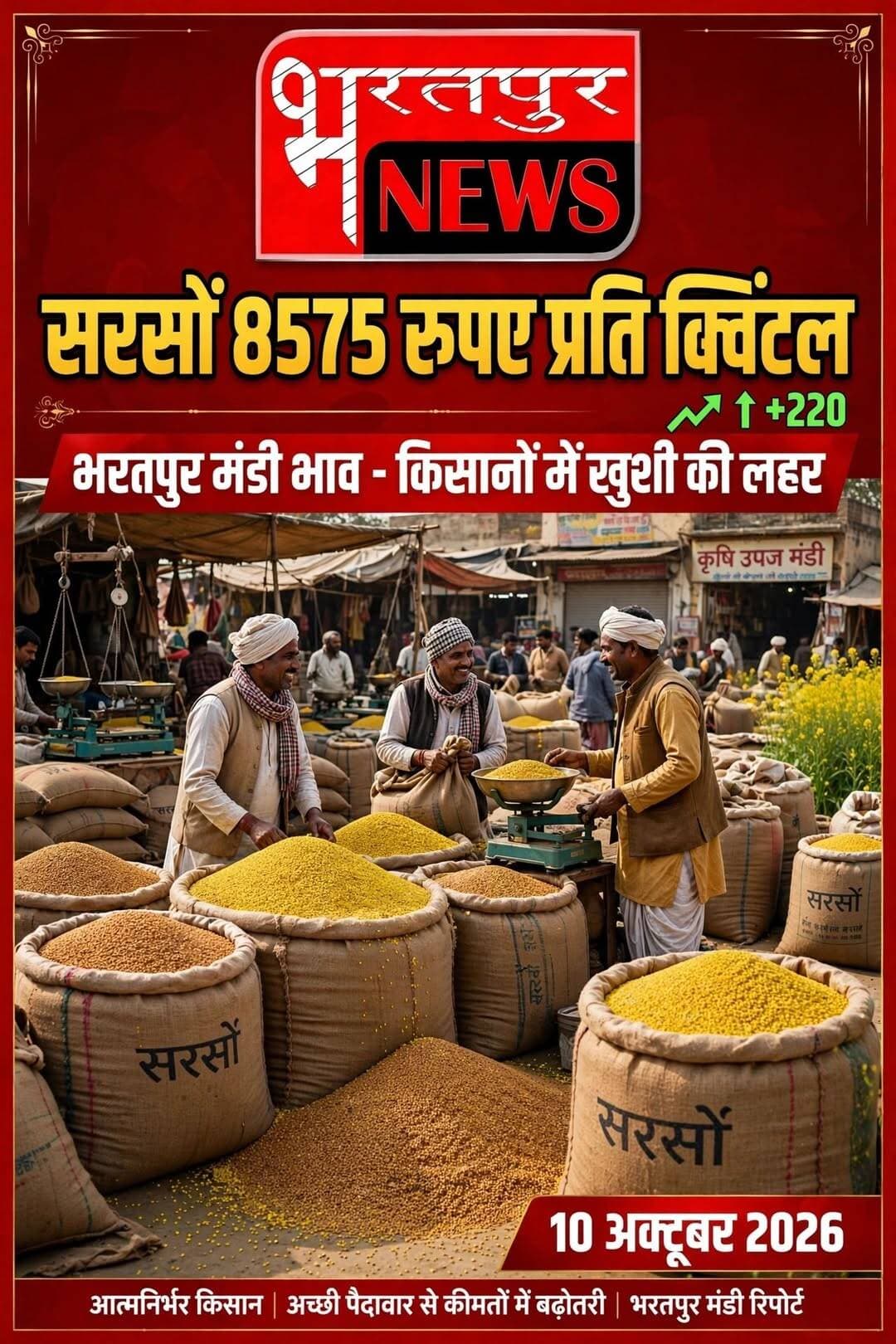 भरतपुर - सरसों...8575