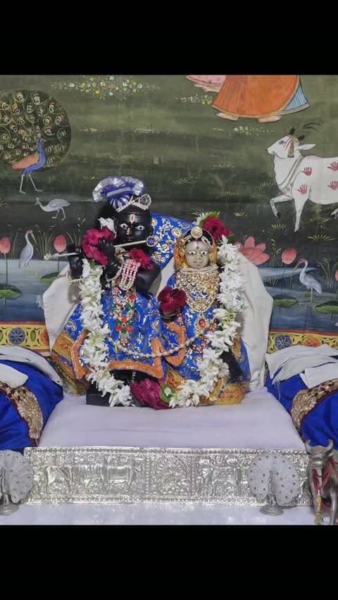 पांच दिवसीय जल साँझी उत्सव का समापन शनिवार अमावस्या को हुआ प्रबंध न्यासी प्रेम प्रकाश आचार्य ने बताया कि I मार्बल के कुंड में कलाकार राजेश पंचोली सहयोगी किशन सोलंकी, जयेश सेठ, विष्णु अरोड़ा ने श्री कृष्ण लीला की विभिन्न प्रकार की जल साँझी बनाई:
1. कुबलियापीड़ हाथी वध
2. रजक (धोबी)
3. कंस वध
4. अघासुर वध
चारों लीलाओं का आध्यात्मिक सार:
कुबलियापीड़ वध :- शक्ति और अहंकार पर धर्म की विजय
रजक प्रसंग :- अहंकार का त्याग और विनम्रता
कंस वध :- अत्याचार का अंत और न्याय की स्थापना
अघासुर वध :- भक्तों की रक्षा और भगवान की कृपा
#radha #vrindavan #udaipur #jalsanjhi #reels