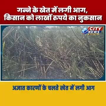 अज्ञात कारणों के चलते गन्ने के खेत में लगी आग, किसान को लाखों रुपये का नुकसान MP Burhanpur News