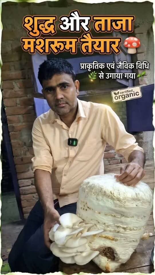 🍄🌱 प्राकृतिक एवं जैविक विधि से उगाया गया मशरूम अब खाने के लिए तैयार! 🌿
प्रकृति के साथ खेती, जैविक विधि से मशरूम उत्पादन। 💚🙏
🌱 प्राकृतिक खेती अपनाएँ, स्वस्थ जीवन पाएँ!
#मशरूमकीखेती #प्राकृतिकखेती #जैविकखेती #MushroomFarming #organicfarming