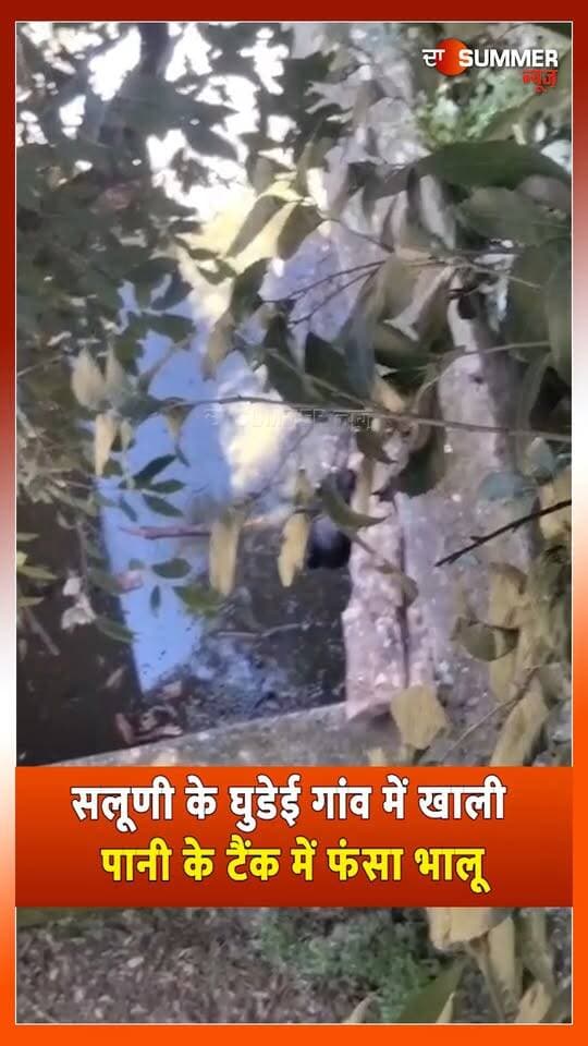सलूणी के घुडेई गांव में खाली पानी के टैंक में फंसा भालू
वन विभाग ने चलाया रेस्क्यू अभियान