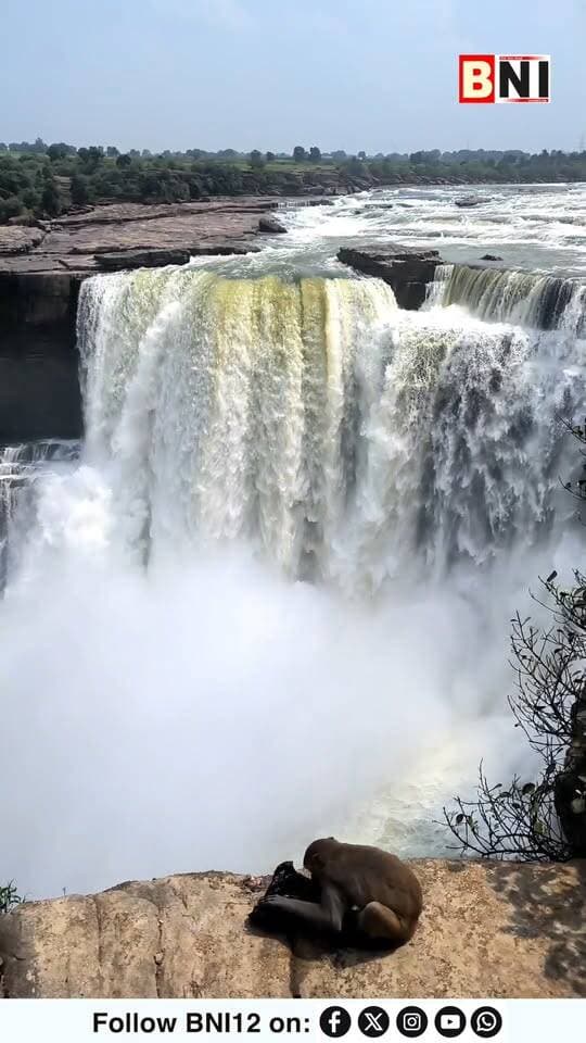 पूर्वा और क्योटी वाटरफ़ॉल में प्रकृति की मनमोहक छटा
#purwa #waterfall #keoti #reewa #MadhyaPradesh #nature