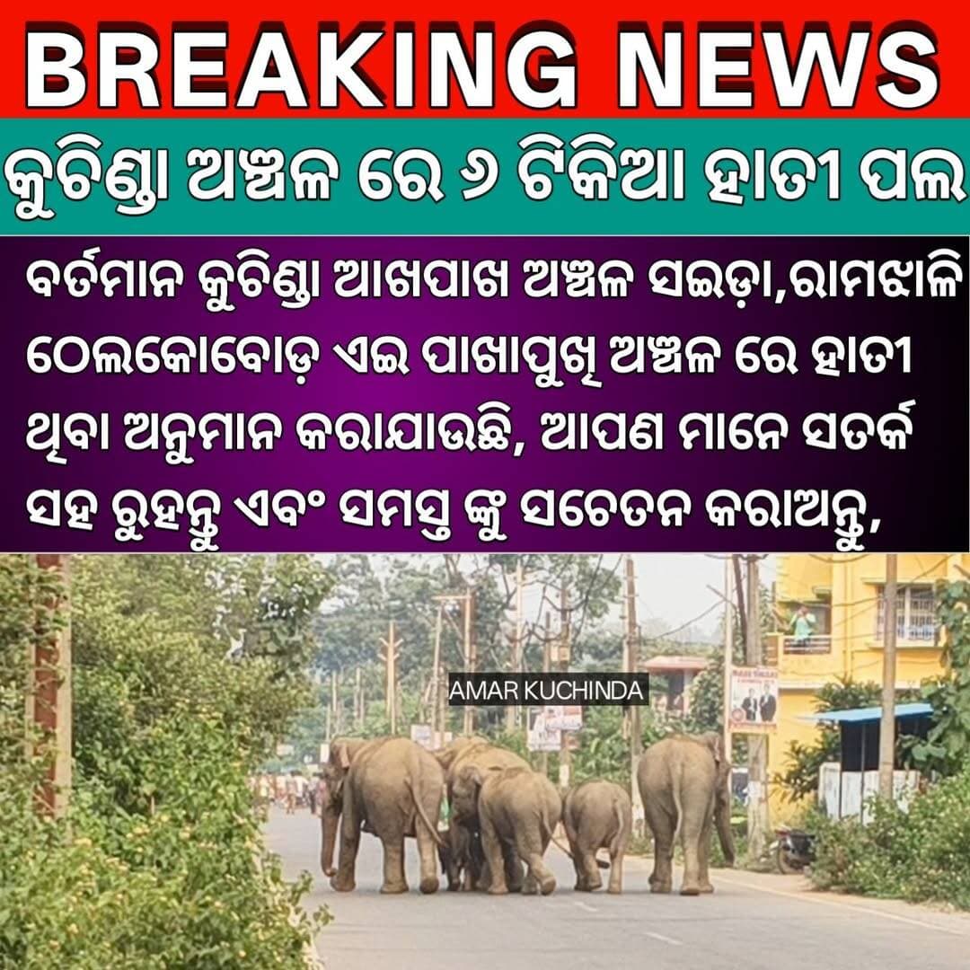 ବର୍ତମାନ ରାମଝାଳି ଠେଲାକୋବୁଡ଼ ଅଞ୍ଚଳ ରେ ହାତୀ ଥିବା ଅନୁମାନ କରାଯାଉଛି, ବନ ବିଭାଗ କଲେ ସତର୍କ <nis:link nis:type=tag nis:id=amarkuchinda nis:value=amarkuchinda nis:enabled=true nis:link/> <nis:link nis:type=tag nis:id=kuchinda nis:value=kuchinda nis:enabled=true nis:link/>