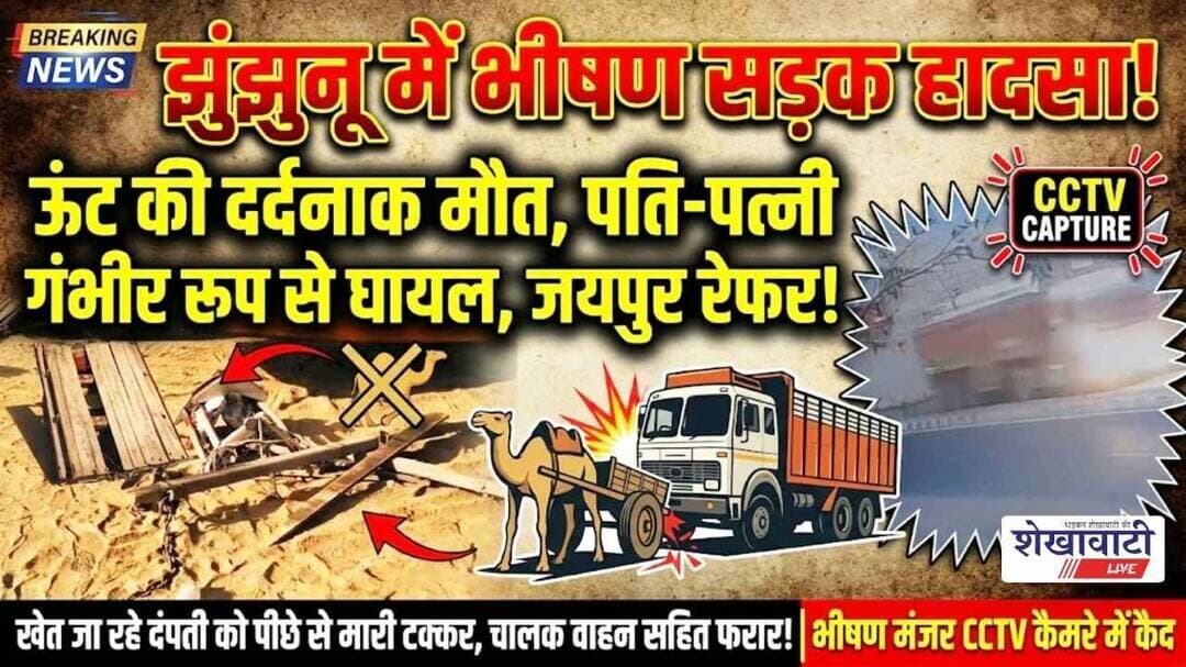 झुंझुनू में ट्रोले की टक्कर से ऊंट की मौत,पति-पत्नी जयपुर रेफर #jhunjhunu #shekhawatilive #viralnews