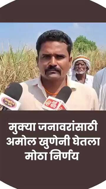 मुक्या जनावरांसाठी अमोल खुणेनी घेतला मोठा निर्णय #amolkhune #beed #brekingnews